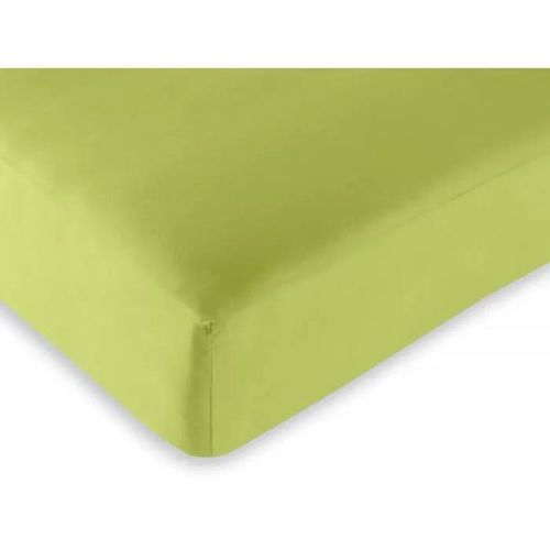 Drap Housse - Coton - 90 X 190 Cm - Anis - Bonnet 25 Cm - 57 Fils/Cm²