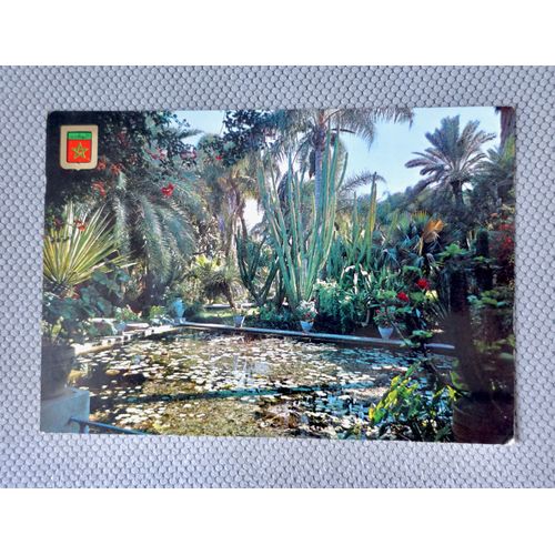 Ancienne Carte Postale Marrakech, Maroc. Jardin Majorelle. L'Étang Avec Nénuphars. Carte Postale Années 70.