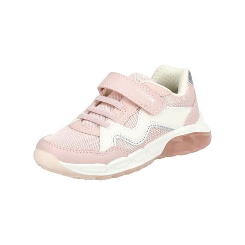 Baskets - 34