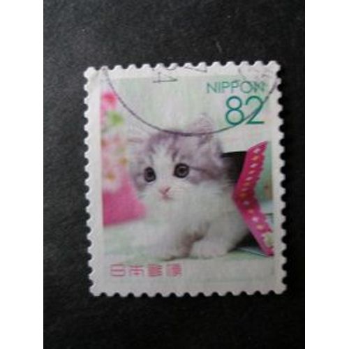 Japon 2018 , Divers Chatons