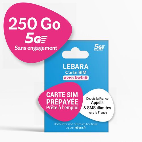 Carte SIM Prepayee Lebara - 250 Go 5G (Reseau SFR) - Appels & SMS Illimites France - Sans Engagement 30 Jours