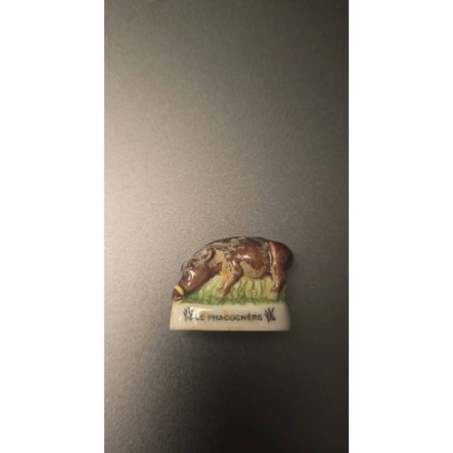 Feve - Fève Atlas Le Phacochere