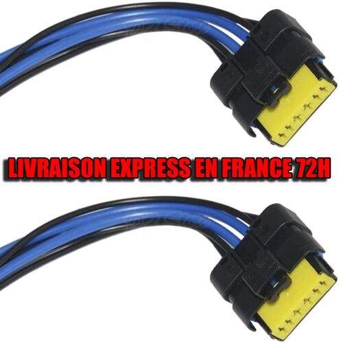 Kit Lot 2 Pcs Plug And Play Fiche De Branchement Temic Prévu Pour Scenic Megane Laguna Clio 3