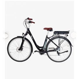 Vélo Électrique Wispeed C-300