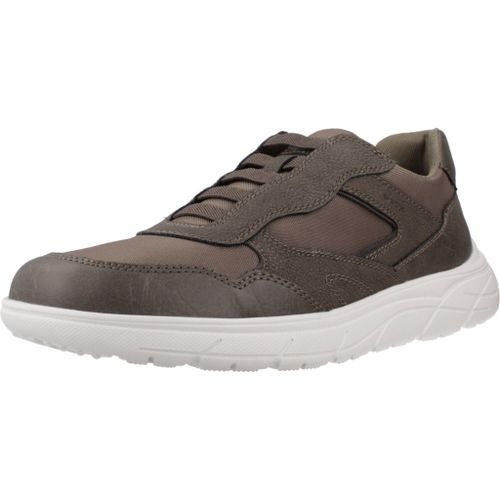Chaussures Geox U Portello Colour Marron