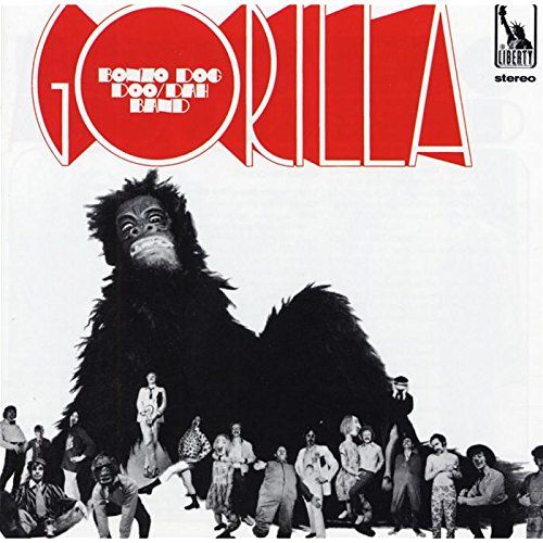 Gorilla