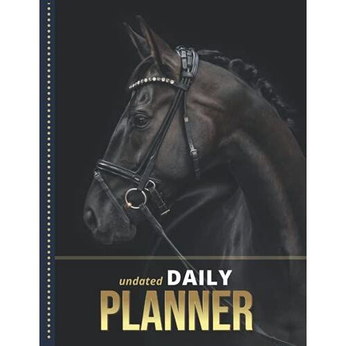 Undated Daily Planner: 8.5x11 One Page Per Day Diary / 365 Logs / 6am To 7pm Hourly Schedule / Black Horse Head - Profile Art Photo / To Do List ... / Time Management Gift For Organized People