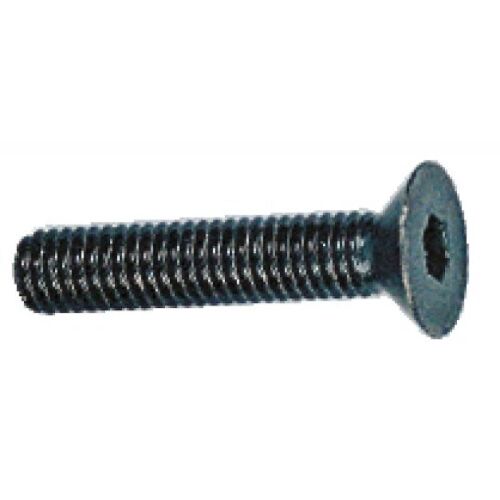 Vis à métaux acier brut - tête fraisée - 5x12 mm - 100 pièces VOLVIS