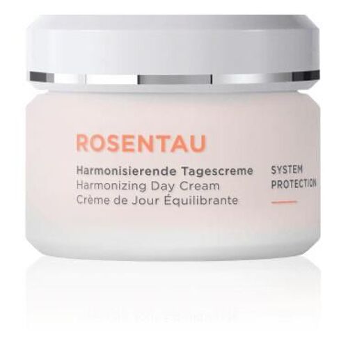 Annemarie Börlind Rose Dew Harmonizing Day Cream Crème De Jour Visage 50 Ml 