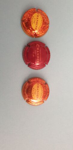 Lot De 3 Capsules De Champagne Chanoine !