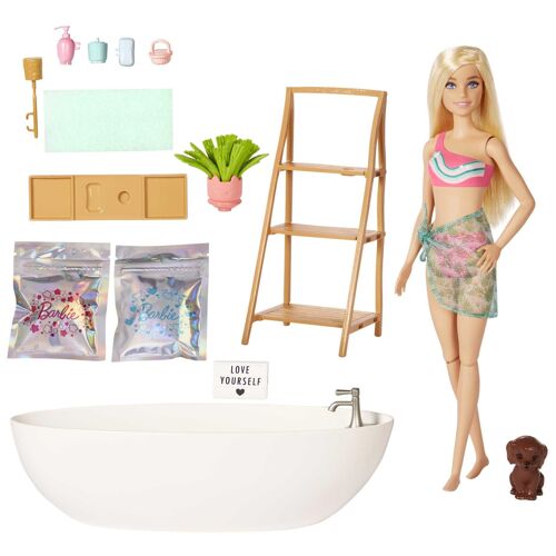 Barbie Fashionistas Doll and Playset