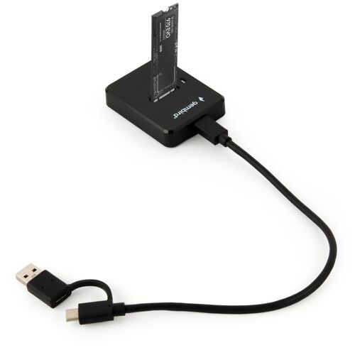 Gembird DD-U3M2 Station d'accueil de disques de stockage USB 3.2 Gen 1 (3.1 Gen 1) Type-C Noir