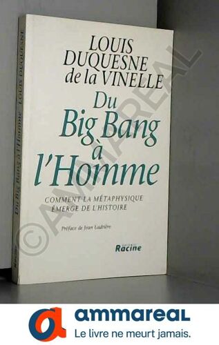 Du Big Bang À L'homme