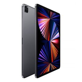 Apple iPad Pro 12,9" WiFi + Cellular 2021 256Go gris sidéral