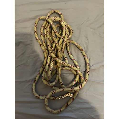 Longe Pour Chien (Laisse)