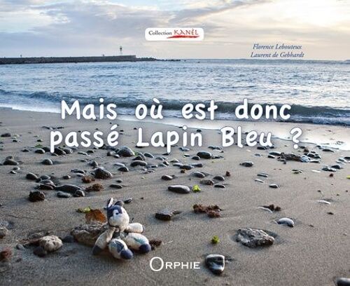 Mais Où Est Donc Passé Lapin Bleu ?