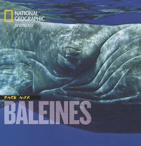 Face Aux Baleines
