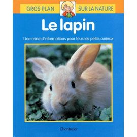 Le Lapin