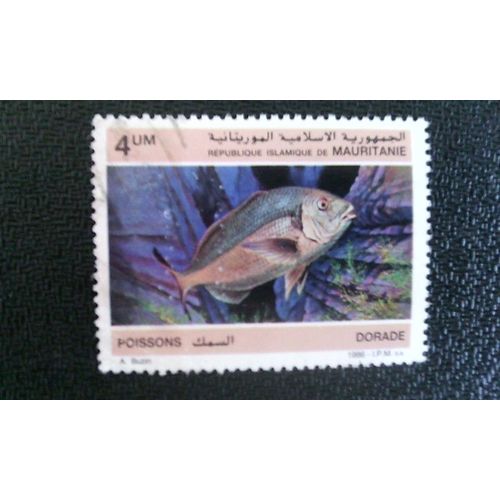 Timbre Mauritanie Yt 592 Dorade À Tête Dorée (Sparus Aurata) 1986 ( 140512 )
