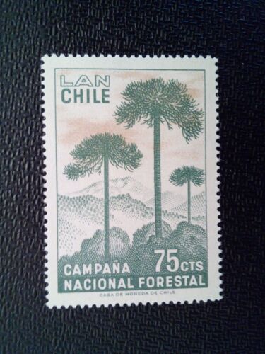 Timbre Chili Yt Pa 239 Campagne De Reforestation Araucaria 1967 ( 080512 )