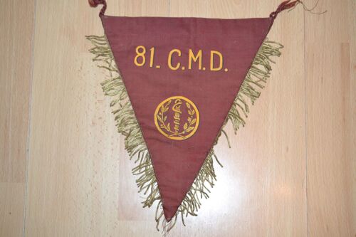 Fanion Unité Médicale 81 Cmd Santé