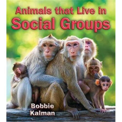 Animals That Live In Social Groups