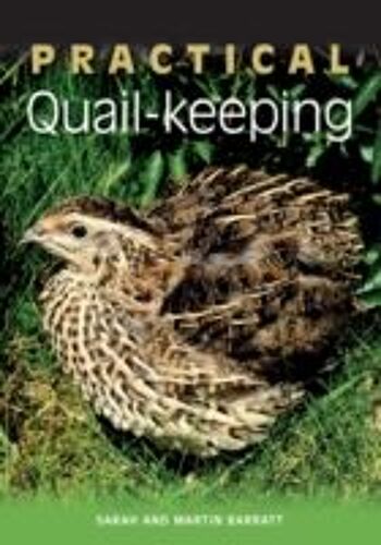Practical Quail-Keeping