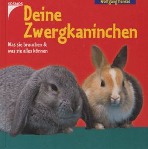 Deine Zwergkaninchen
