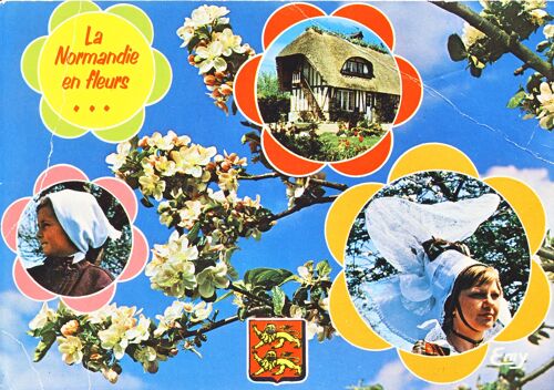 La Normandie Pittoresque, La Normandie En Fleurs, Coiffes, Chaumière, Fleurs De Pommier, Blason Normand