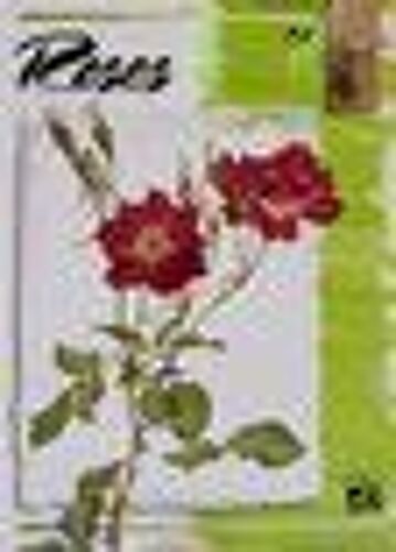 Peindre Les Roses N°42