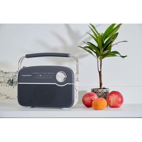 Radio Bluetooth à recharge solaire grise Thomson