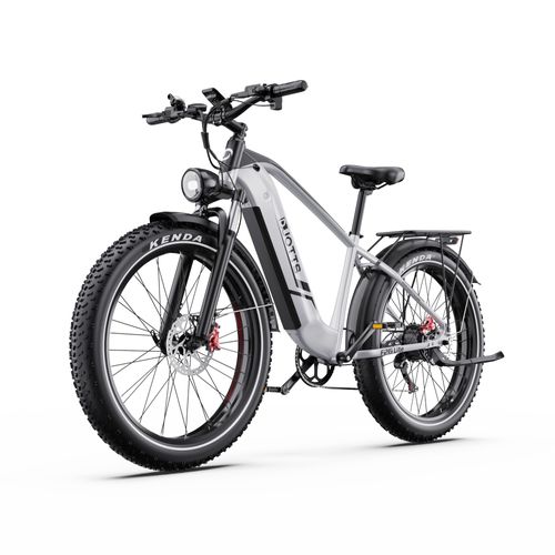 Vélo Électrique Pour Adulte Duotts F26 Lite - 500 W 48 V 18 Ah, Pneus Tout-Terrain Larges De 26 X 4,0 Pouces, Freins Hydrauliques, Suspension Avant, Blanc Argenté