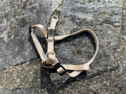 Flamingo Harnais Step&Go Ziggi Beige