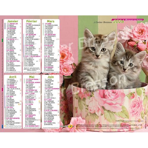 Calendrier 2026 Almanach Chats