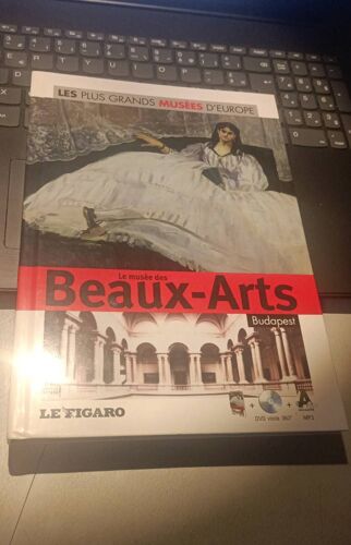 Le Musée Des Beaux-Arts Budapest Le Figaro 2011