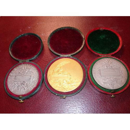 Lot De 3 Médailles En Argent Massif 1er Titre 950/1000 Dans Leurs Boites D'Origine 120gr