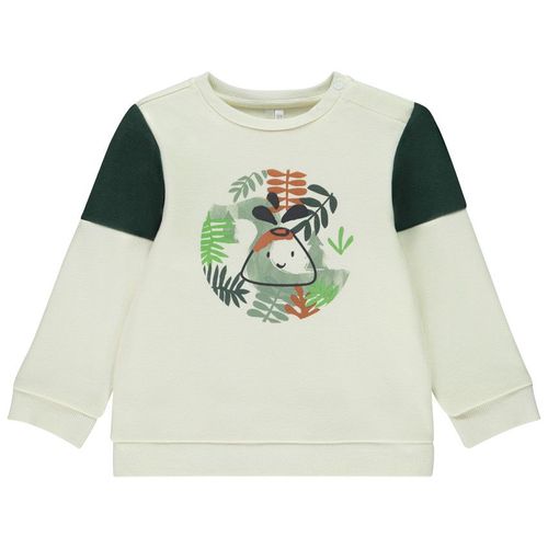 Sweat Molleton Print Volcan Pour Bébé Garçon - Ecru