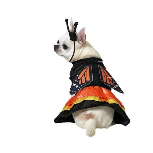 Déguisement Pour Chien - Bigbuy Pets - S1136194 - Papillon - Multicolore - Taille S