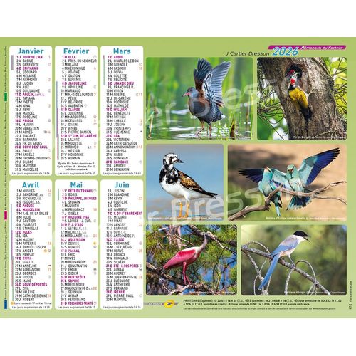 Almanach La Poste Calendrier Facteur Ptt 2026 Oiseaux