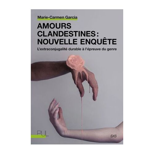 Amours Clandestines : Nouvelle Enquête
