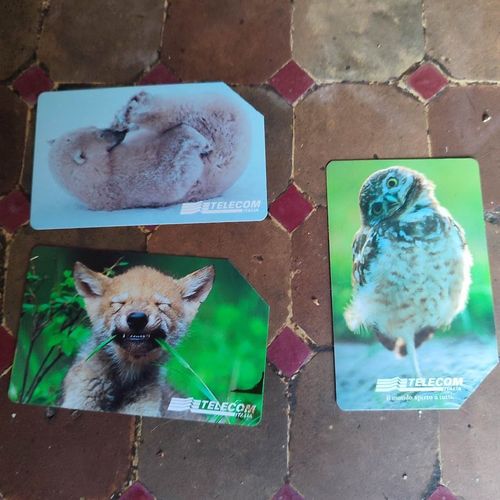 Lot De 3 Cartes Téléphone -Telecom Italia: "Animali Per Modo Di Dire"
