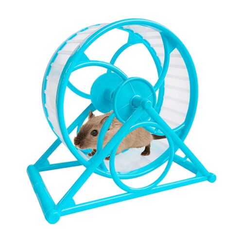 Roue D'exercice Silencieuse Pour Hamster, Roue D'exercice Transparente, Roue D'exercice Pour Petits Animaux