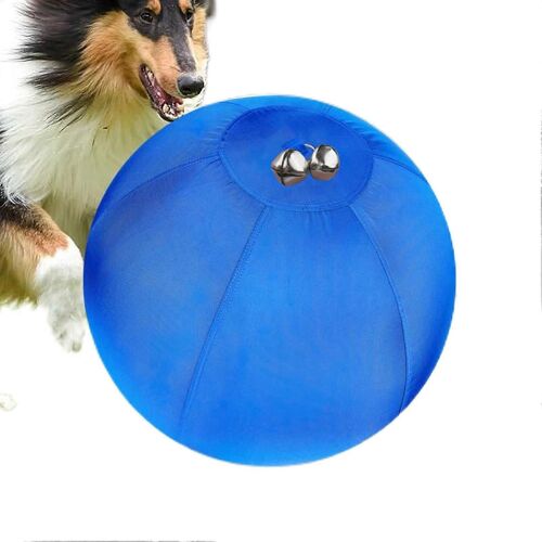 Balle De Berger Pour Chiens, Jouet Flottant En Materiau Epais Pour L'entraînement Des Petites Et Moyennes Races, Jeux Aquatiques En Exterieur
