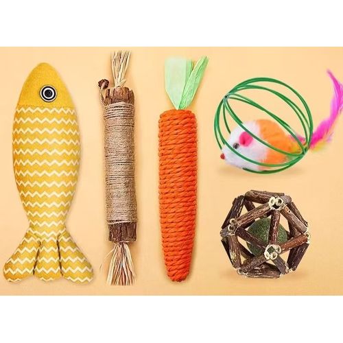Kit de jouet pour chat de 5 pièces pour nettoyer les dents