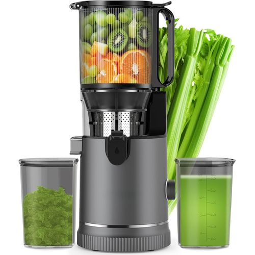 Extracteur de Jus Lent 400 W Grande Goulotte