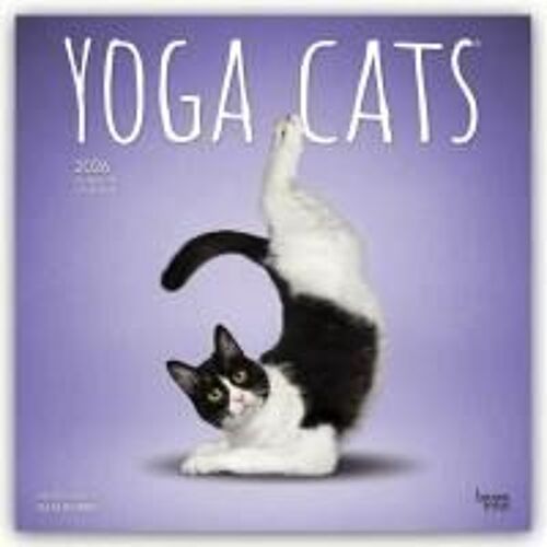 Yoga Cats 2026 Square Flap Calendar Calendar Book