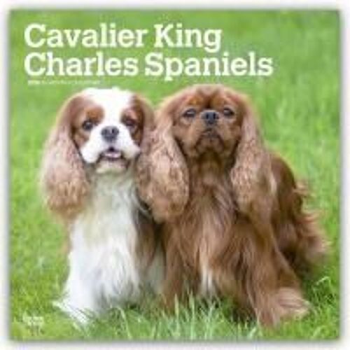 Cavalier King Charles Spaniels 2026 Square Flap Calendar Calendar Book