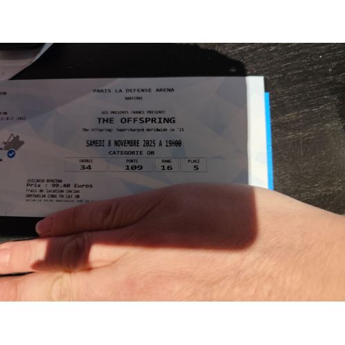 Une Heure De Concert De Offspring & Zebrahead