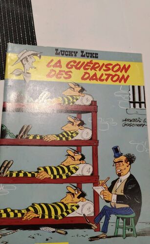 Livre La Guérison Des Daltons