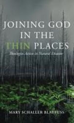 Joining God In The Thin Places: Theologies Active In Natural Disaster Paperback Book By Mary Schaller Blaufuss
